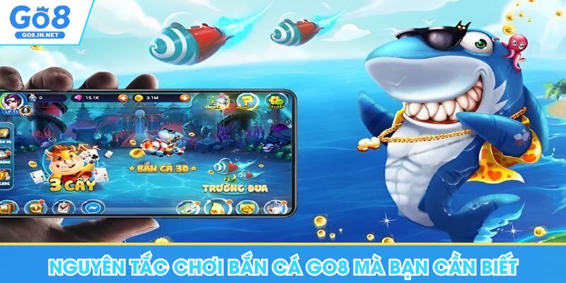 Bắn cá GO8 – Thông tin trò chơi và cách đọc luật 6 Nguyên tắc chơi bắn cá Go8 mà bạn cần biết