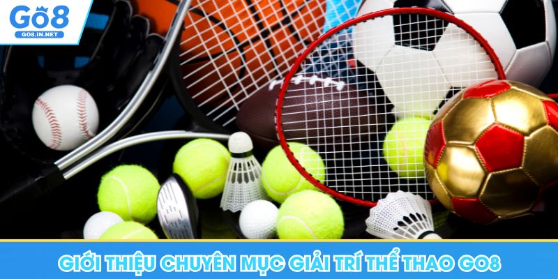 Thể thao GO8 – Hướng dẫn đọc tỷ lệ và thị trường 5 Giới thiệu chuyên mục giải trí thể thao Go8
